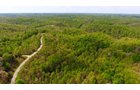 Property photo 9 - LAND AUCTION - 1,682+/- ACRES OFFERED IN 17 TRACTS IN LEWIS & GREENUP COUNTIES, KENTUCKY